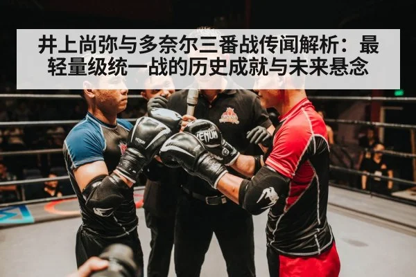 井上尚弥与多奈尔三番战传闻解析：最轻量级统一战的历史成就与未来悬念