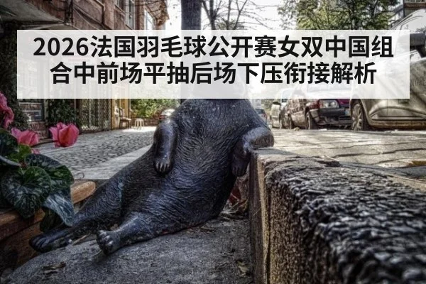 2026法国羽毛球公开赛女双中国组合中前场平抽后场下压衔接解析